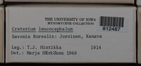 Image Associated With the Occurence